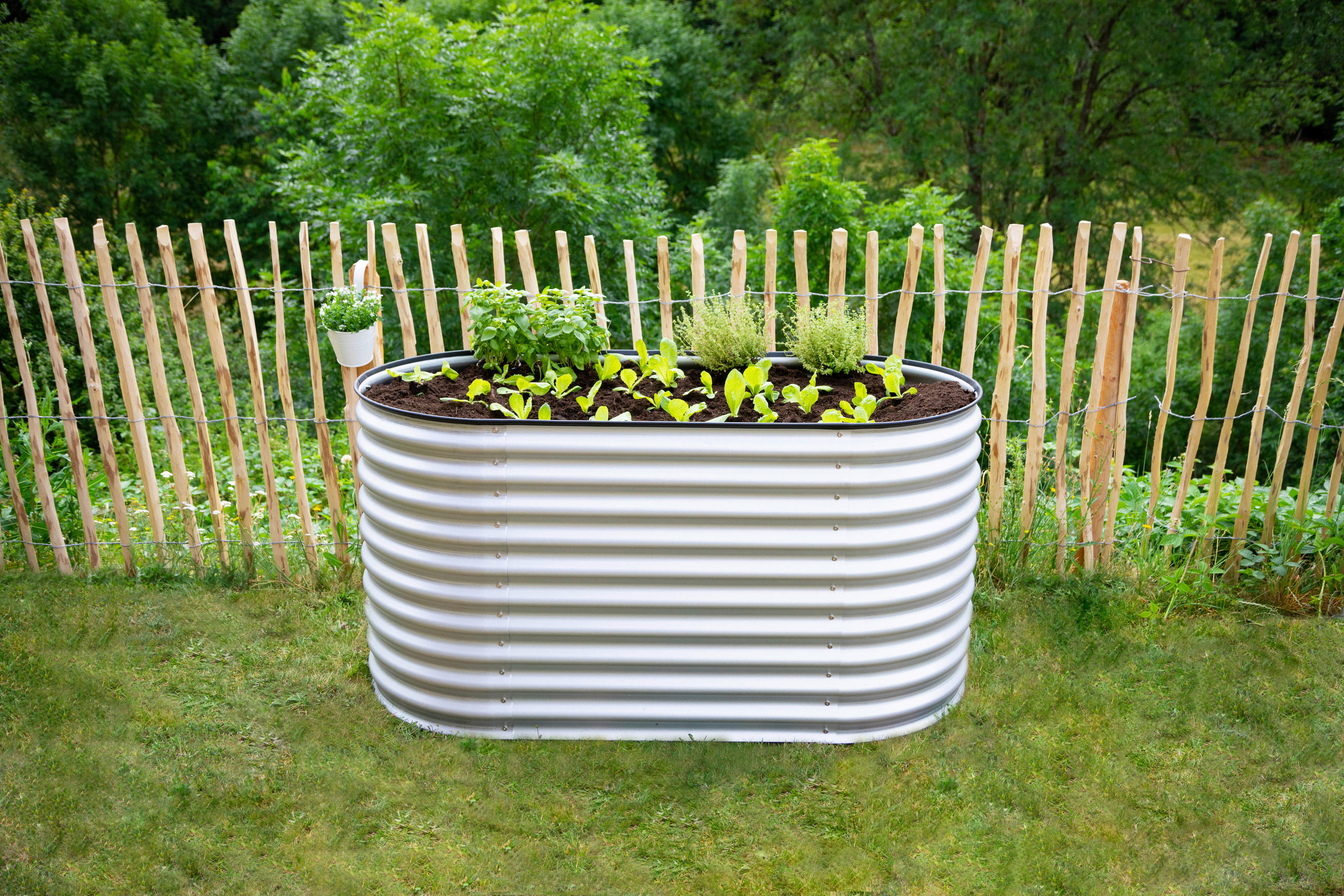 HOCHBEET 160/82/80 cm  - Silberfarben, Basics, Metall (160/82/80cm)