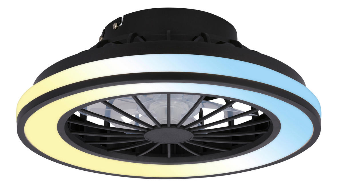 DECKENVENTILATOR 38/14 cm   - Schwarz/Weiß, Design, Kunststoff (38/14cm)