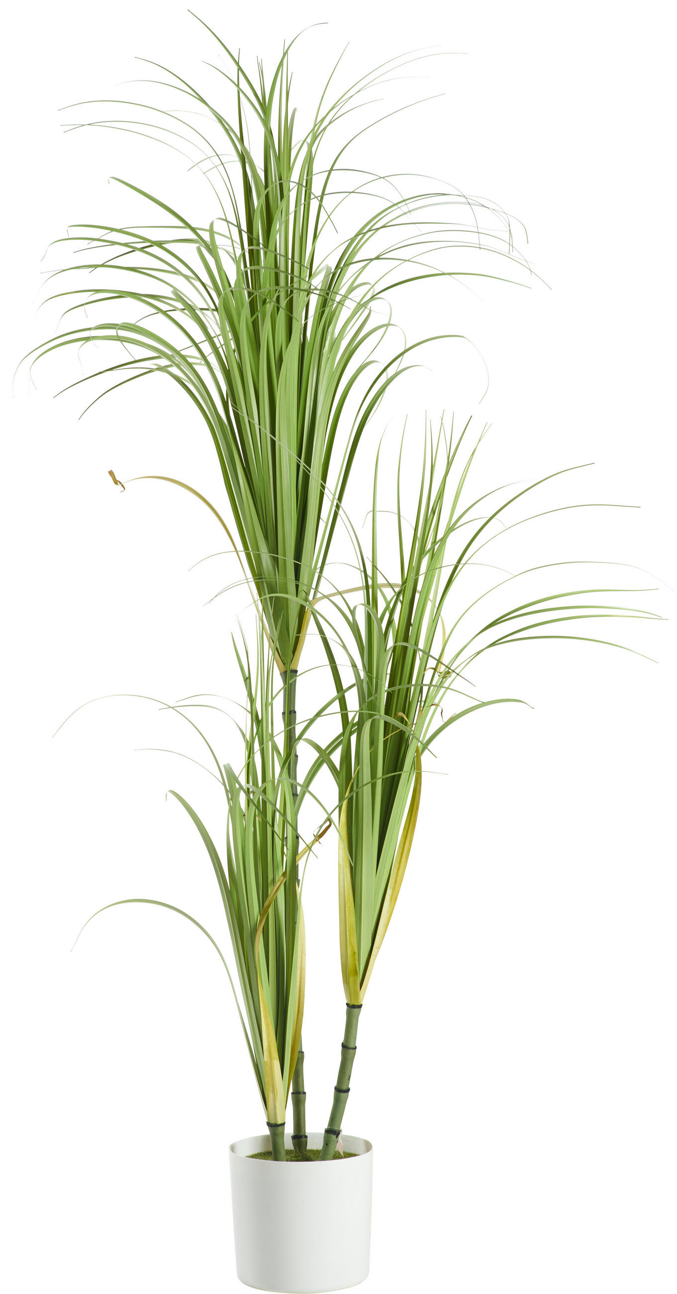 DEKORATIONSGRÄS - grön, Natur, metall/plast (180cm) - Ambia Home