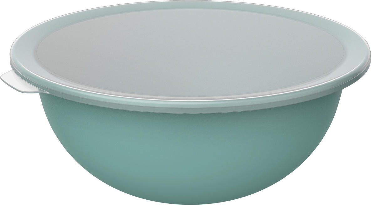 ZDJELA   32,2/30,5/13,3 cm        CARUBA  - zelena/prozirno, Basics, plastika (32,2/30,5/13,3cm) - Rotho