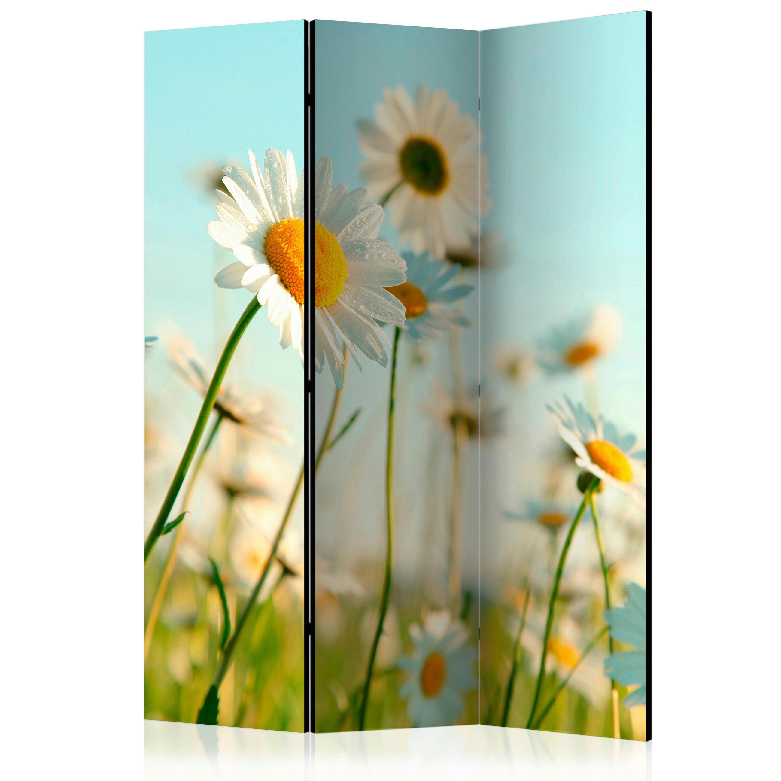 artgeist PARAVÁN, 135/172/3 cm