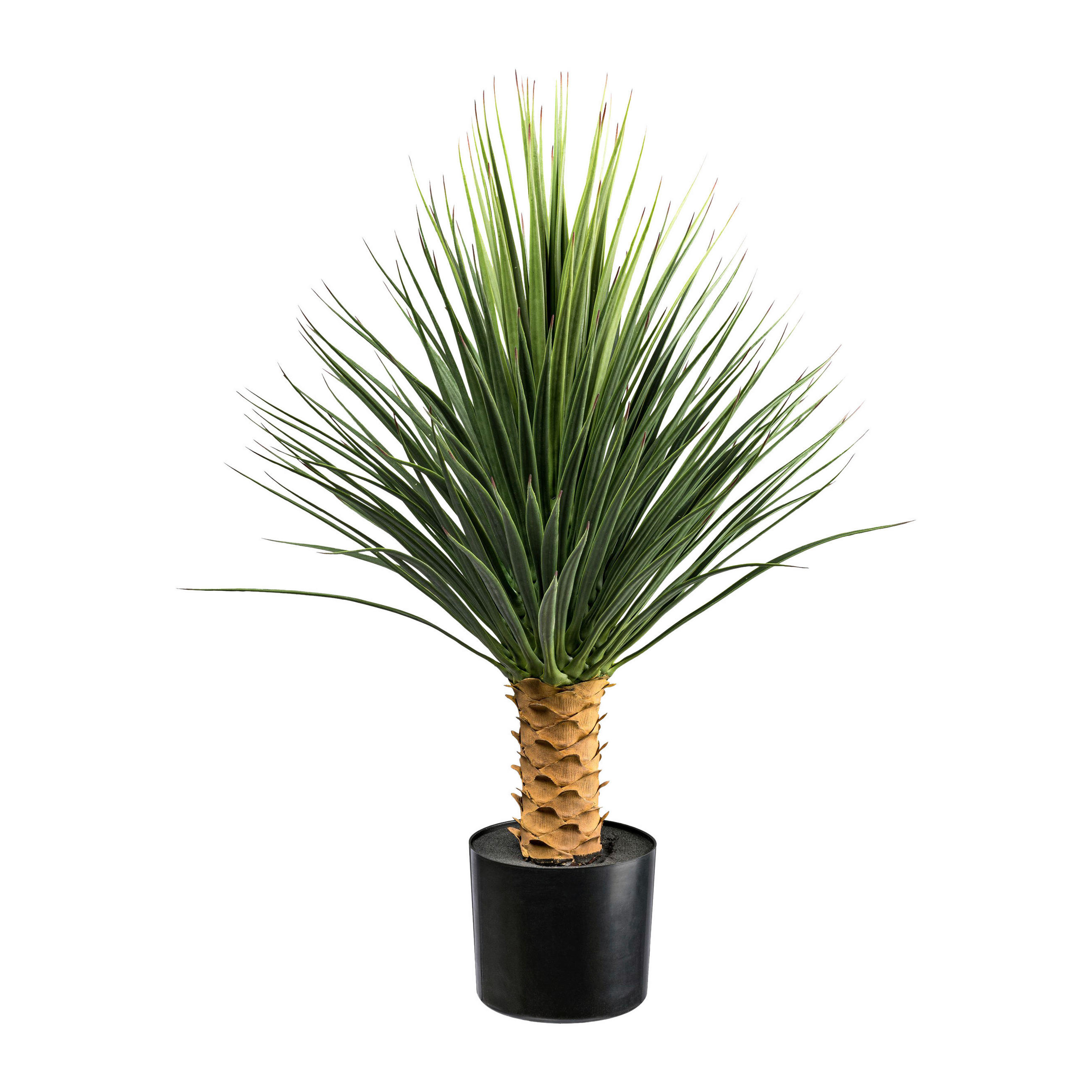 KUNSTPFLANZE Sukkulente 85 cm  - Schwarz/Braun, Design, Kunststoff (85cm) - P & B