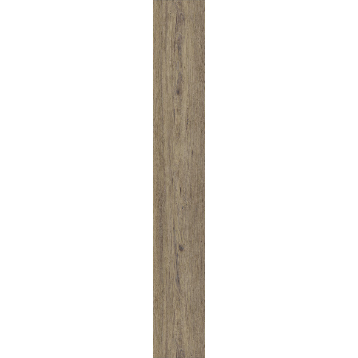 DESIGNBODEN X-Large  per  m² - Eichefarben, Basics, Kunststoff (151/22/0.75cm)