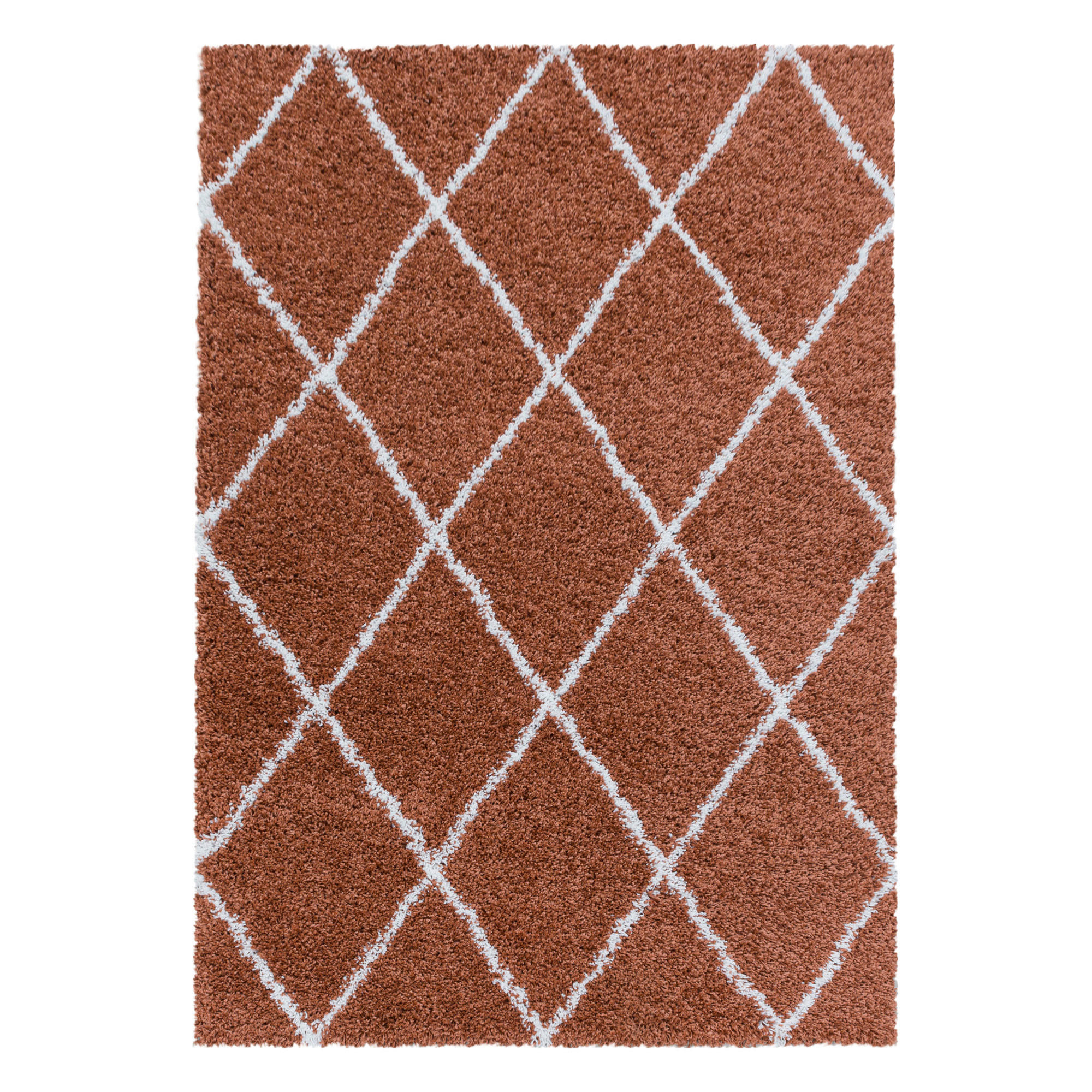 HOCHFLORTEPPICH 60/110 cm Alvor 3401 terra Terracotta - Terracotta, Basics, Textil (60/110cm)