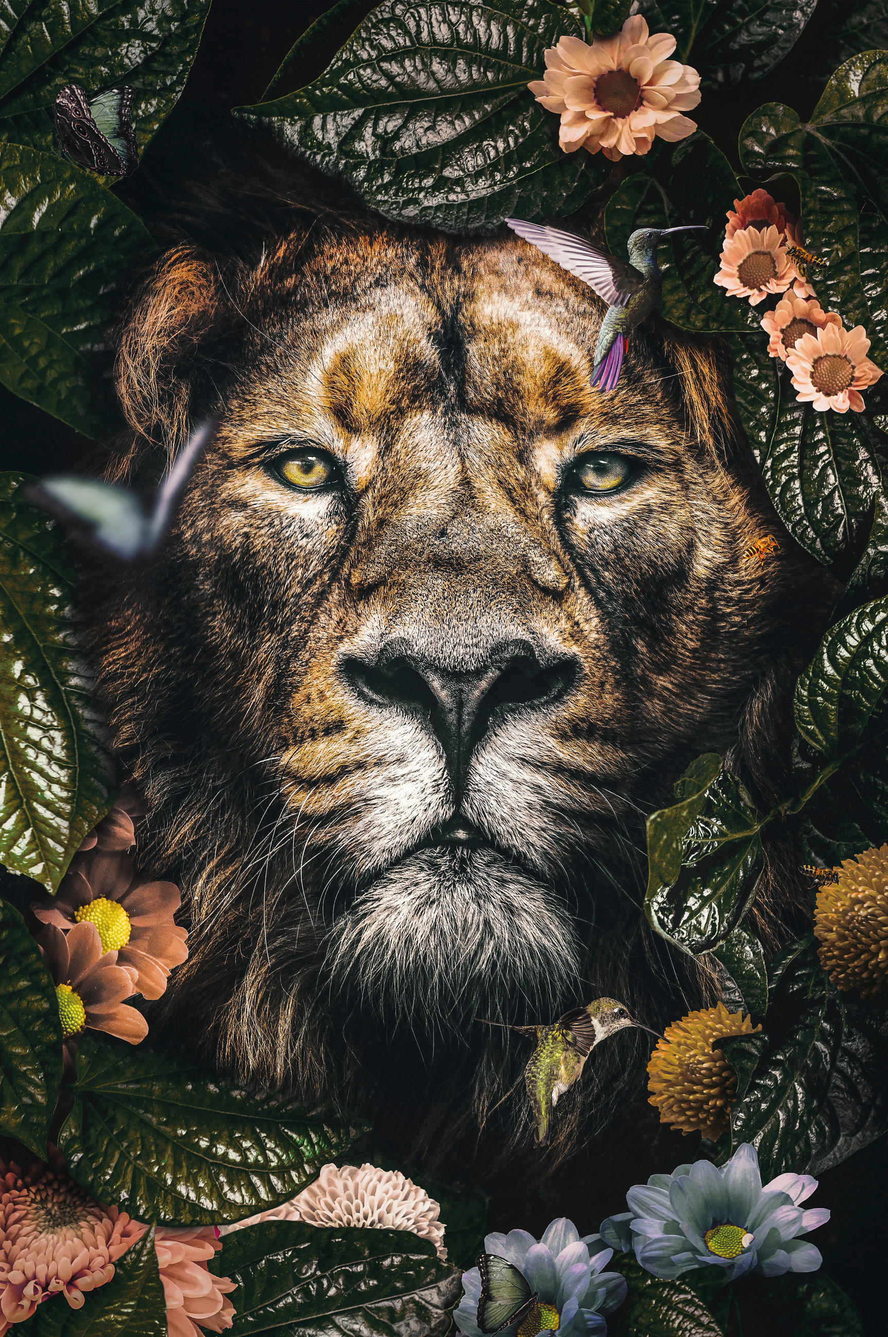 Wandkraft Bild The Lion Mehrfarbig 98x148x5 cm