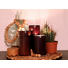 KERZENHALTER - Braun, Basics, Holz (8/13cm) - Ambia Home KERZENHALTER - Braun, Basics, Holz (8/13cm) - Ambia Home