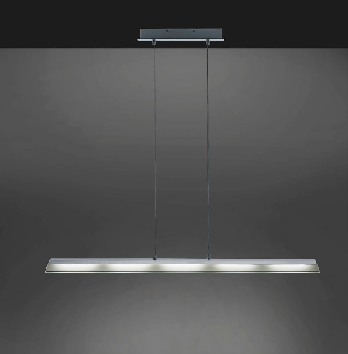 LED-DECKENLEUCHTE 100/8,0/120 cm    - Edelstahlfarben, Design, Glas/Kunststoff (100/8,0/120cm)