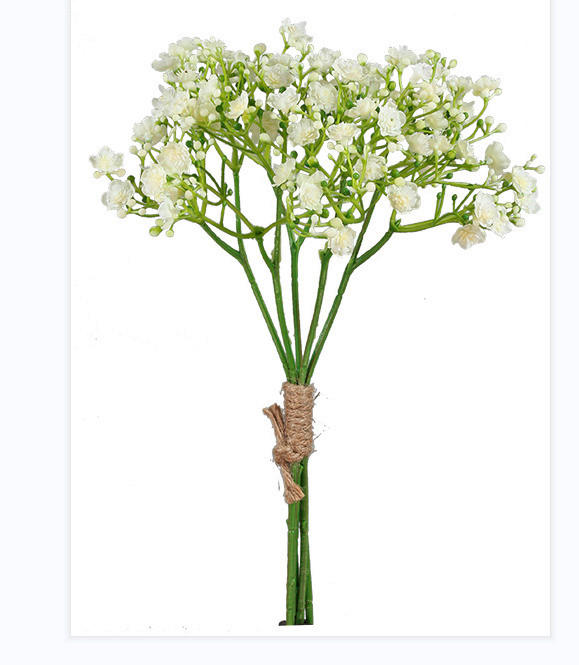 GYPSOPHILA - maro/alb, Basics (30cm)
