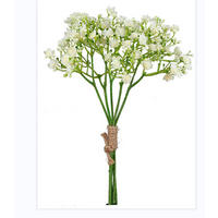 GYPSOPHILA - maro/alb, Basics (30cm)