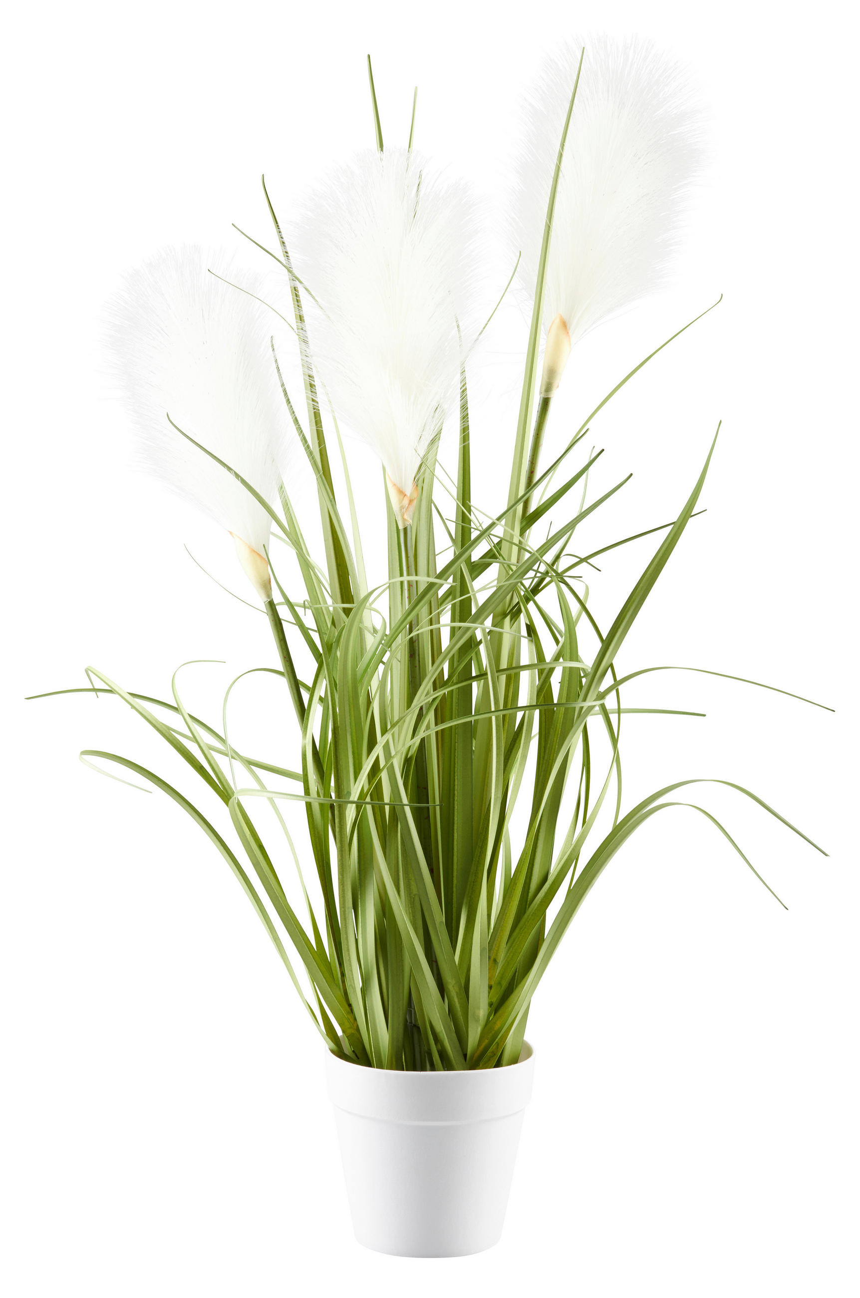 Ambia Home DEKORAČNÍ TRÁVA, 53 cm