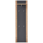 GARDEROBENPANEEL  in 48/170/30 cm  - Graphitfarben/Eiche Artisan, Design, Holzwerkstoff (48/170/30cm) - Xora