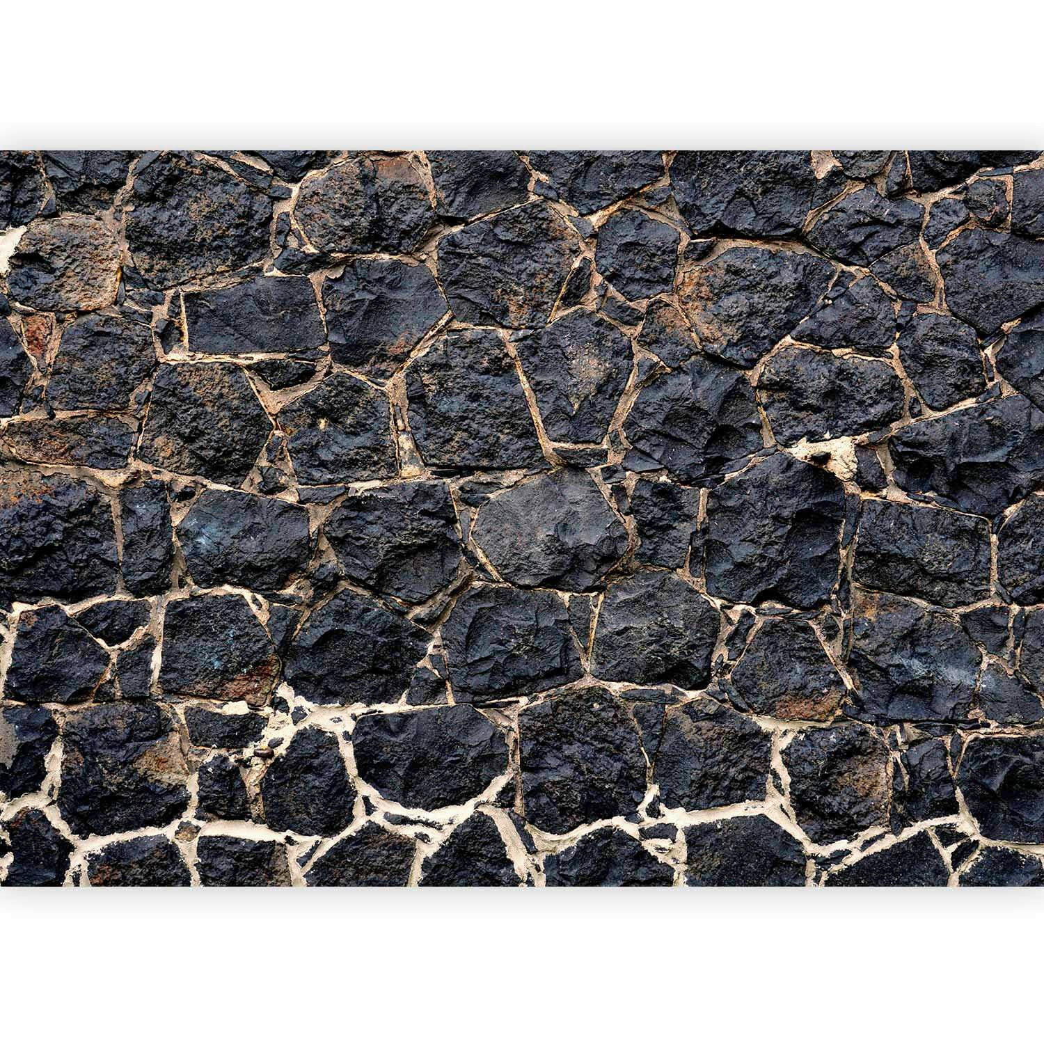 FOTOTAPETE  - Schwarz, LIFESTYLE, Textil (450/315cm) - artgeist