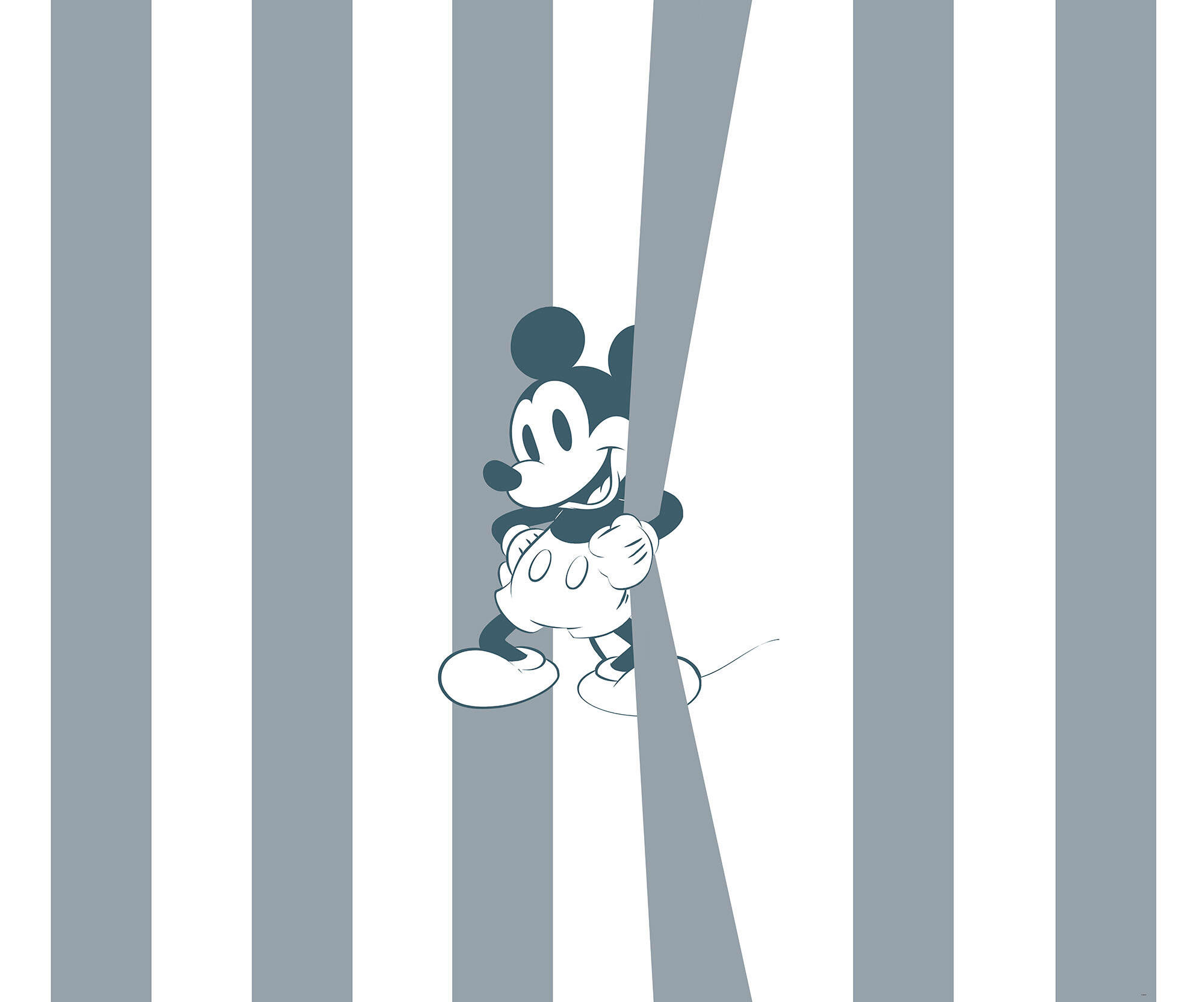 VLIESTAPETE Mickey Mouse  - Basics (200/250/cmcm) - Disney