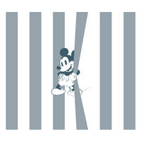 VLIESTAPETE Mickey Mouse  - Basics (200/250/cmcm) - Disney