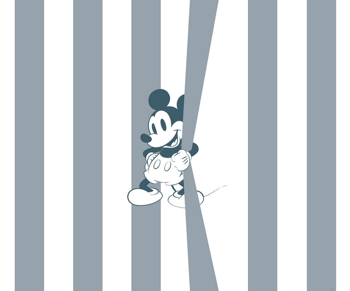 VLIESTAPETE Mickey Mouse  - Basics (200/250/cmcm) - Disney