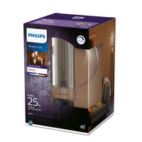 LED ŽARULJA  - siva, Lifestyle, staklo (20/29,3cm) - Philips
