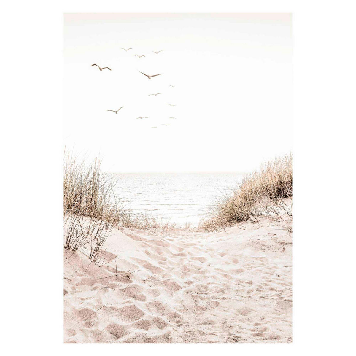 POSTER 50/70 cm  - Multicolor, Natur, Papier (50/70cm) - Reinders!