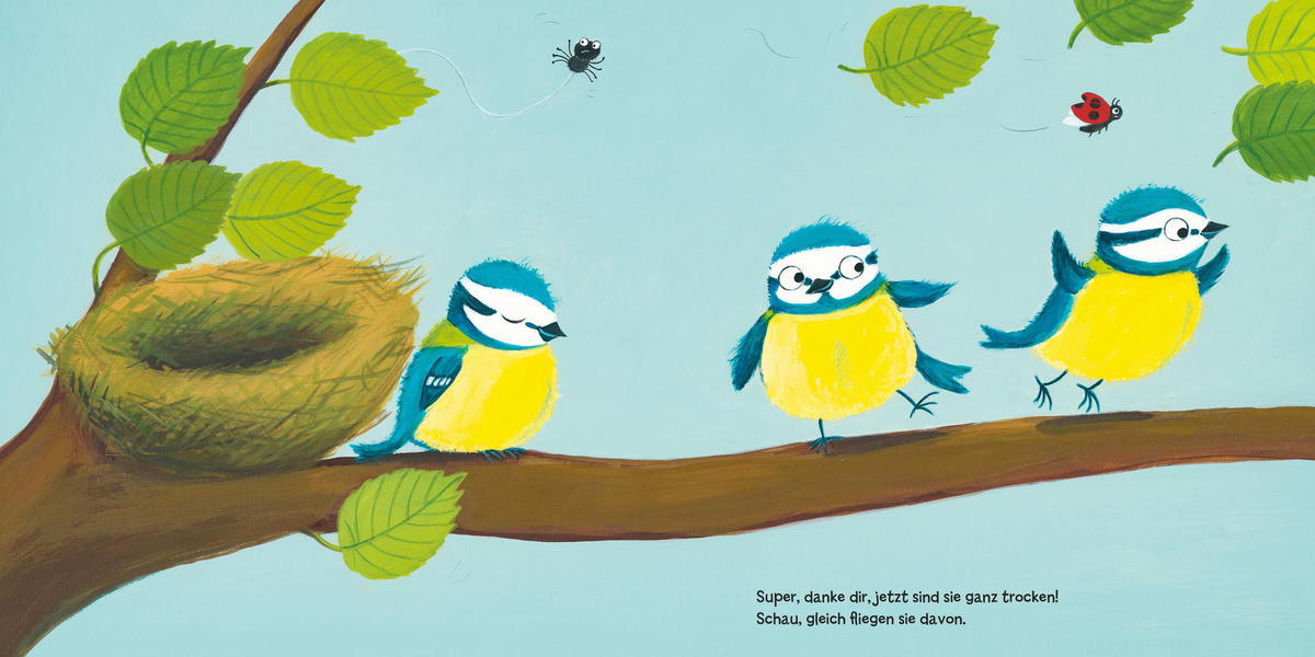 BILDERBUCH - Basics (20/20/1,35cm) - Carlsen