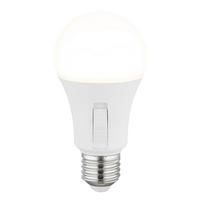 LED SIJALICA - bela/opal, Osnovno, metal/plastika (6/12cm)