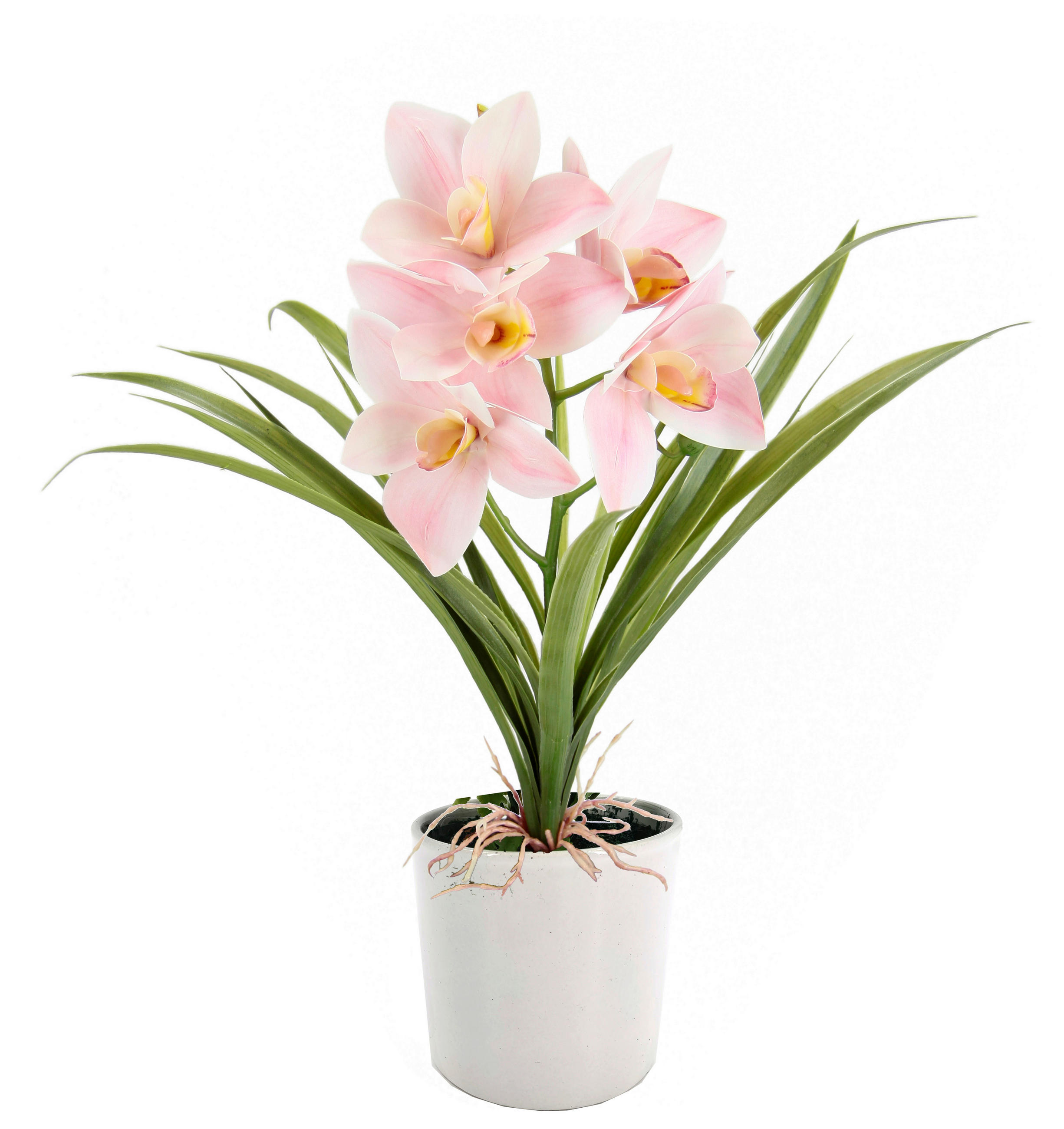 ORCHIDEE  - Hellrosa/Weiß, Basics, Keramik/Kunststoff (35/40/15cm)
