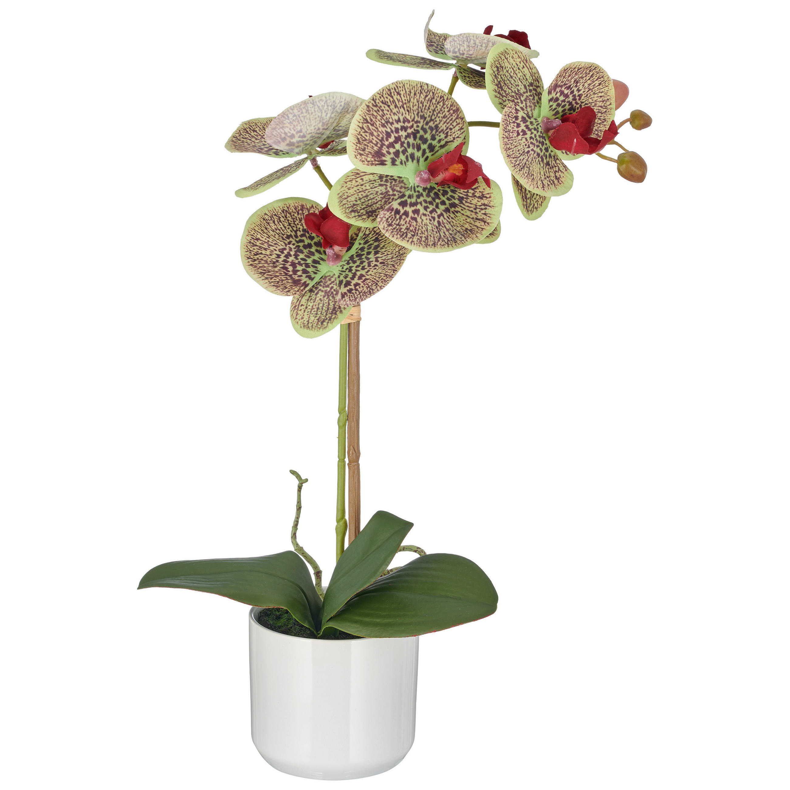 KUNSTBLUME - Weiß/Grün, Basics, Keramik/Kunststoff (46cm)