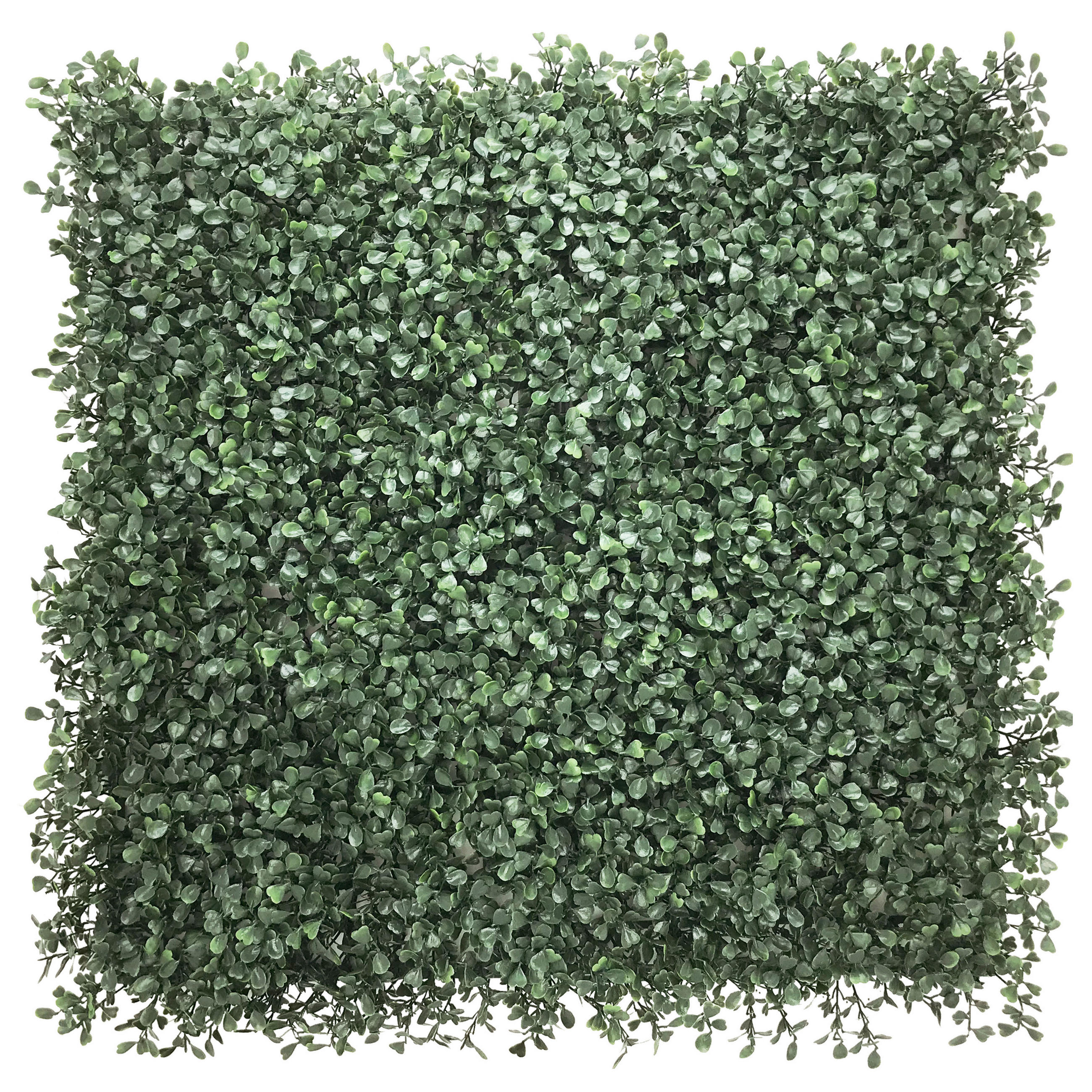 KUNSTPFLANZE  - Grün, MODERN, Kunststoff (50/50/7cm) - MID.YOU