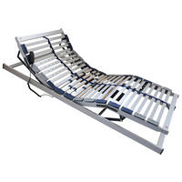 ELEKTRICKÝ POLOHOVACÍ ROŠT,  (pro rám) 90/200 cm - světle šedá, Basics, dřevo (90/200cm) - Dieter Knoll