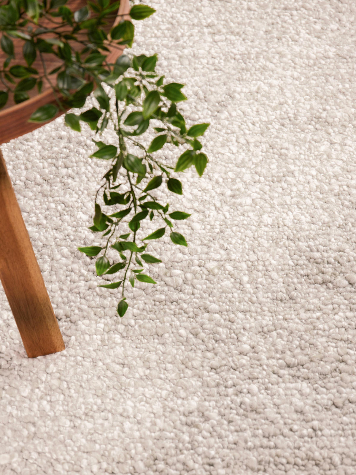 WEBTEPPICH 200/290 cm Notting Hill Creme  - Creme, Basics, Textil (200/290cm) - Ted Baker