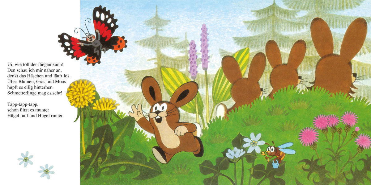 BUCH - Multicolor, Basics, Papier (19,8/19,8/1,6cm)