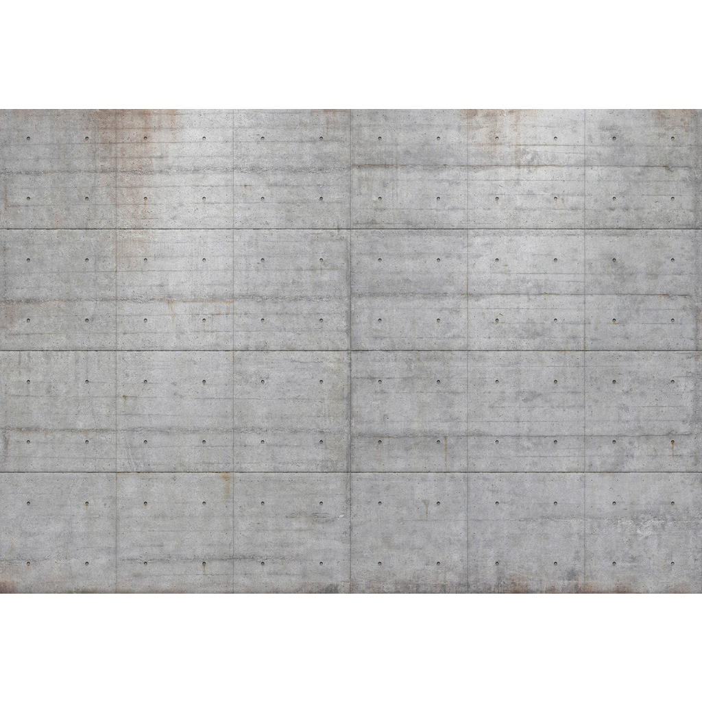 FOTOTAPETA velikost: 368/254 cm