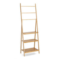 LEITERREGAL Bambus Naturfarben  - Naturfarben, Basics, Holz (53,5/30,5/1,54cm) - Zeller Present