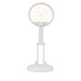 LED-SCHREIBTISCHLEUCHTE 12,5/23,5 cm   - Weiß, Basics, Kunststoff (12,5/23,5cm) - Novel