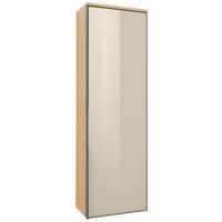 GARDEROBENSCHRANK  in 54/170/31 cm  - Eichefarben/Anthrazit, Design, Glas/Holz (54/170/31cm) - Dieter Knoll