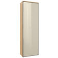 GARDEROBENSCHRANK  in 54/170/31 cm  - Eichefarben/Anthrazit, Design, Glas/Holz (54/170/31cm) - Dieter Knoll