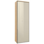 GARDEROBENSCHRANK  in 54/170/31 cm  - Eichefarben/Anthrazit, Design, Glas/Holz (54/170/31cm) - Dieter Knoll