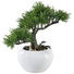 UMETNA RASTLINA - zelena/rjava, Basics, umetna masa (18cm) - Ambia Home UMETNA RASTLINA - zelena/rjava, Basics, umetna masa (18cm) - Ambia Home