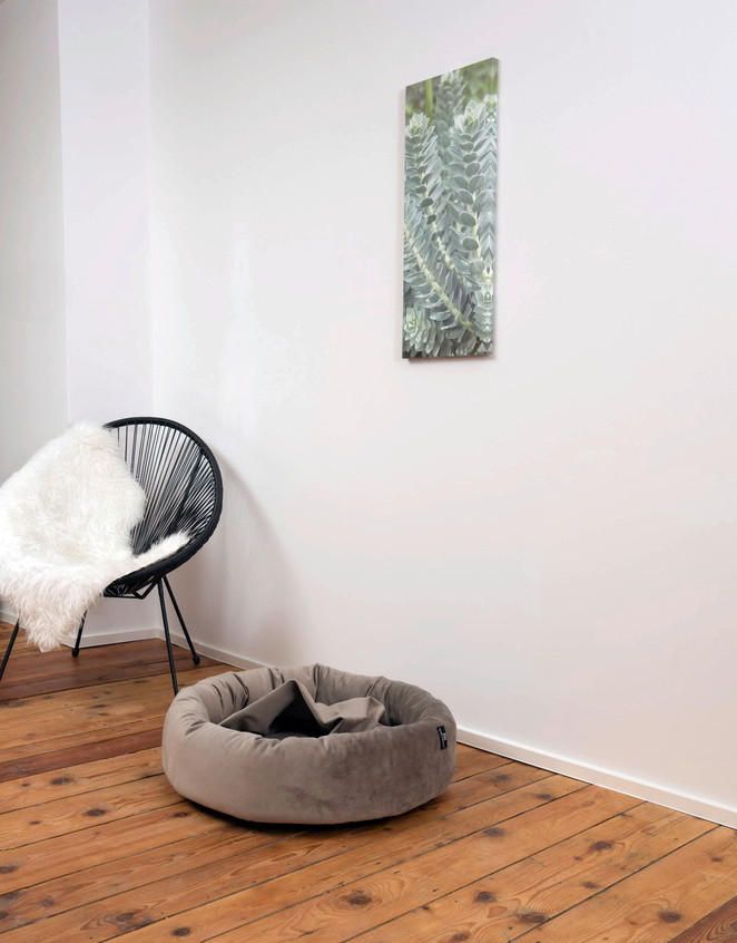 HUNDEBETT - Taupe, KONVENTIONELL, Textil (90/90/18cm)