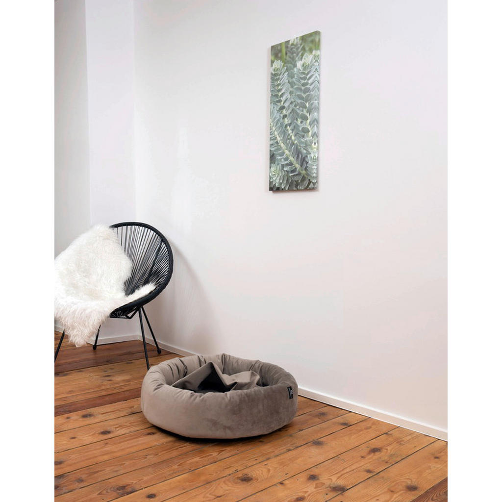 Thumbnail - Hundebett, Taupe, Textil, Uni, Füllung: Polyester, 90x18x90 cm, Bezug abnehmbar und waschbar, weich gepolstert, rutschfe...