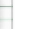 SPIEGELSCHRANK 100/66/20 cm - KONVENTIONELL, Glas/Holzwerkstoff (100/66/20cm) - Xora