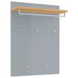 GARDEROBENPANEEL in 80/109/27 cm - Eichefarben/Grau, Design, Glas/Holz (80/109/27cm) - Novel