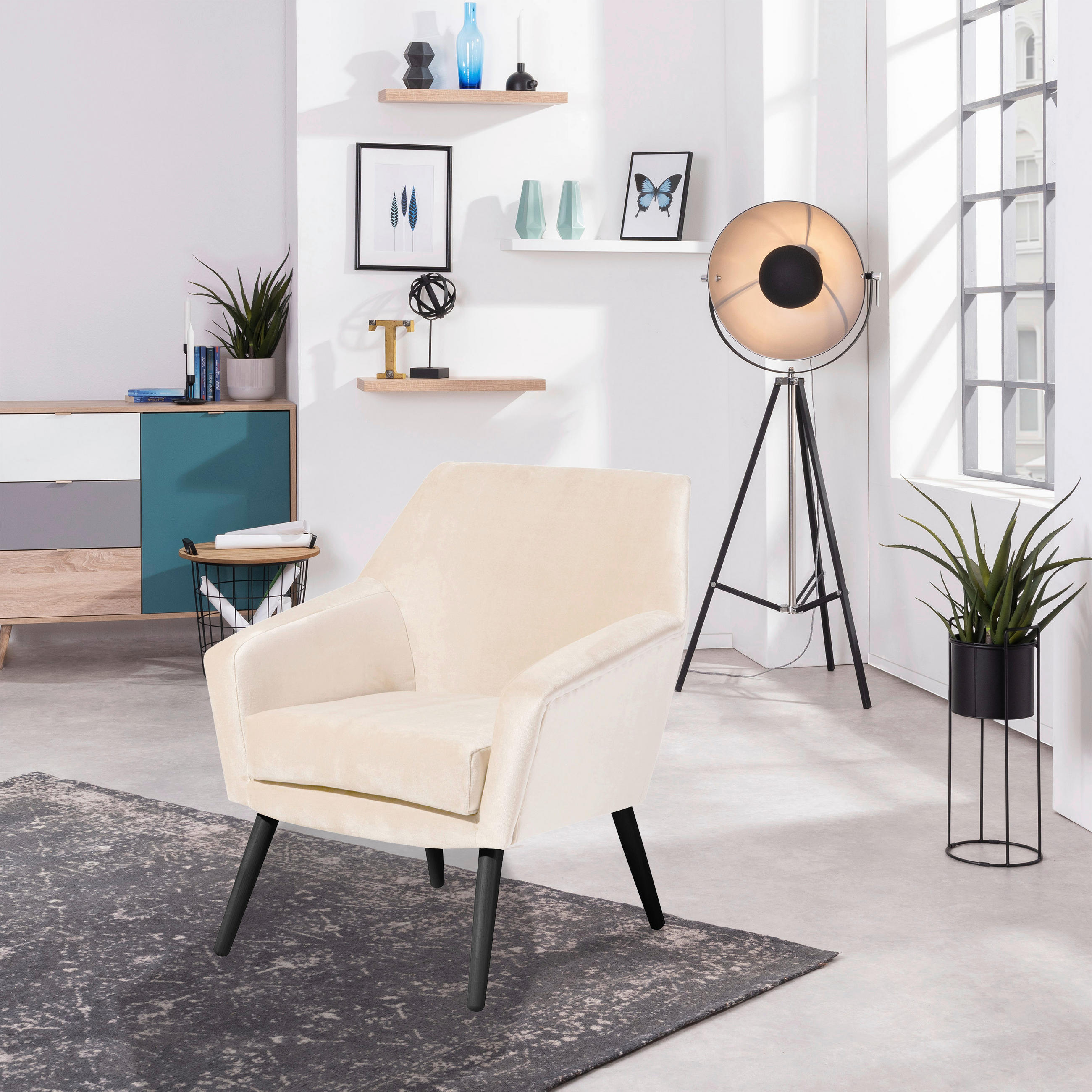 SESSEL in Samt, Velours Creme, Schwarz  - Creme/Schwarz, Design, Holz/Textil (67/81/71cm) - Max Winzer