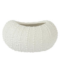 OKRASNA ŠKOLJKA - Basics (15/19/10cm)