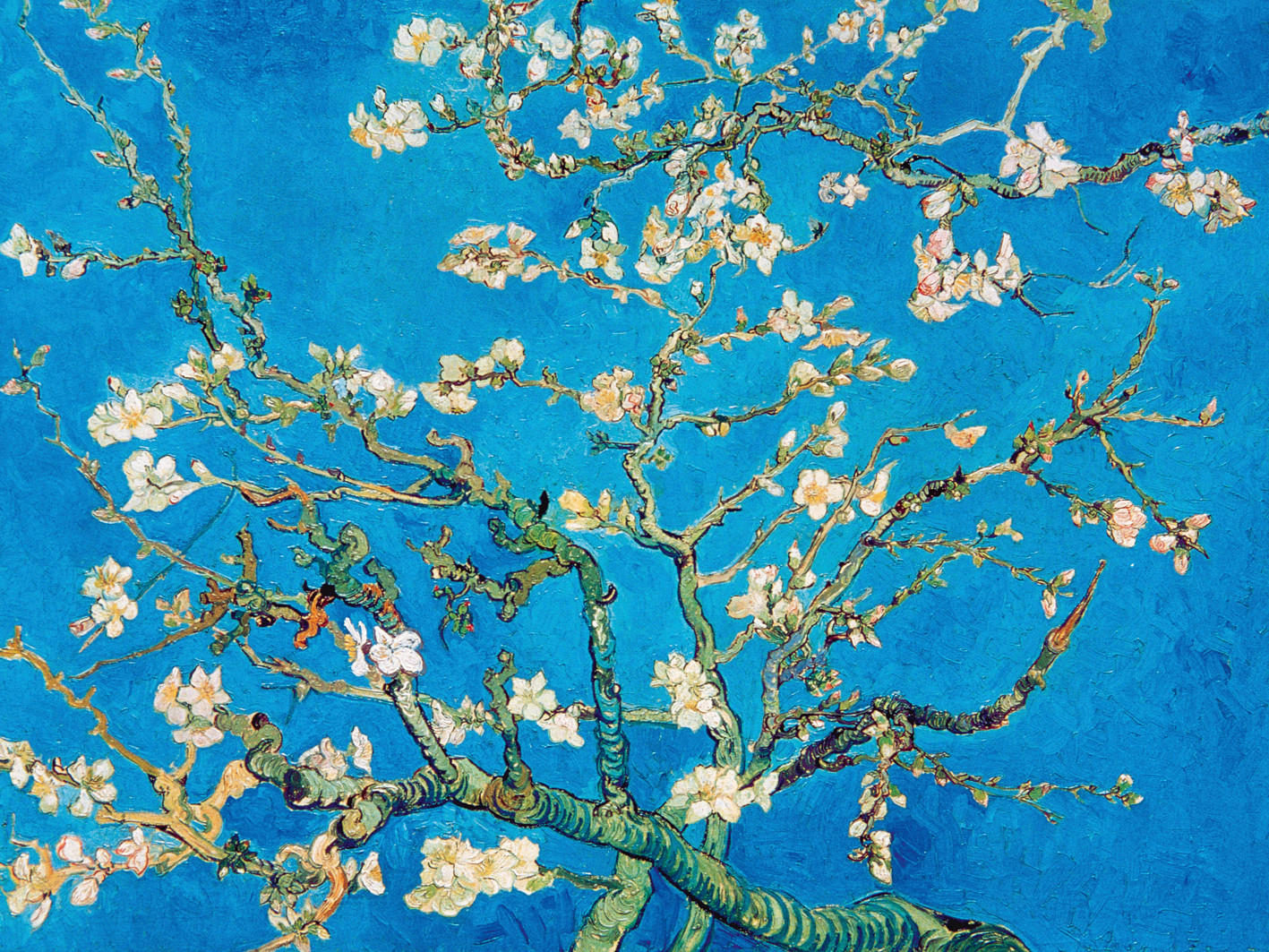 KUNSTDRUCK Bäume 40/30 cm  - Blau/Hellrosa, Basics, Papier (40/30cm) - Monee