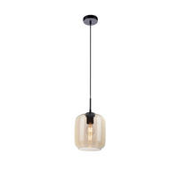 HÄNGELEUCHTE 19/19/150 cm   - Schwarz, Design, Kunststoff/Metall (19/19/150cm) - Paul Neuhaus