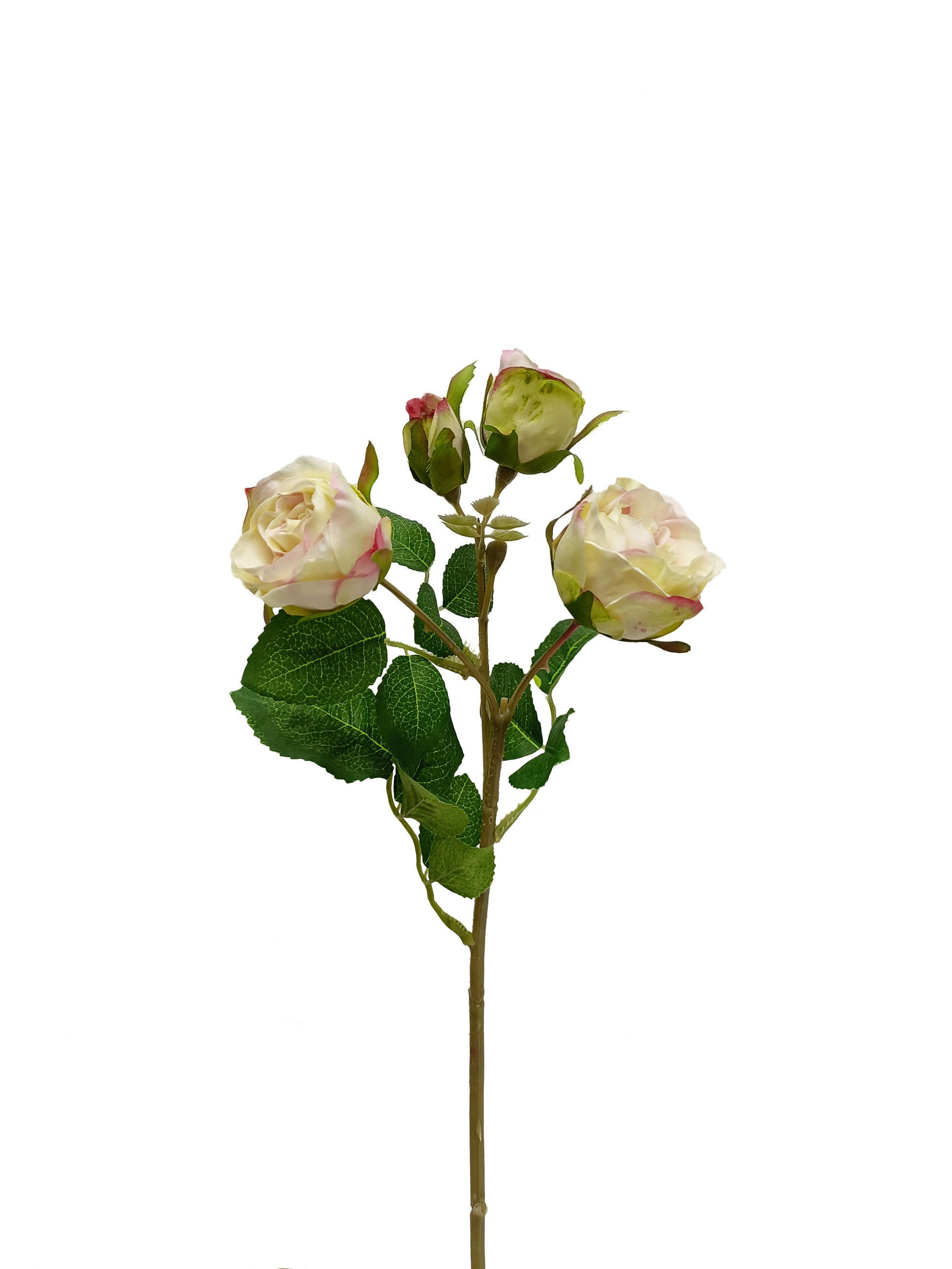 KUNSTBLUME - Aprikose/Creme, Basics, Kunststoff (38cm)