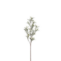 DÍSZÁG - zöld, Basics, műanyag (62/19/5cm)