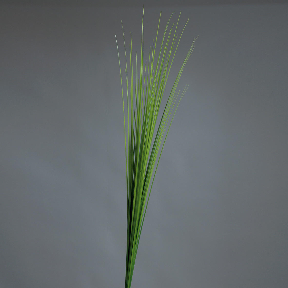 DEKORATIONSGRÄS - grön, Basics, textil/plast (115cm)