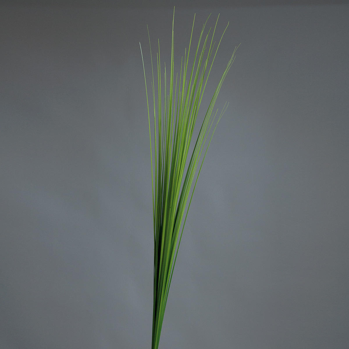 DEKORAČNÍ TRÁVA, 115 cm - zelená, Basics, textil/plast (115cm)