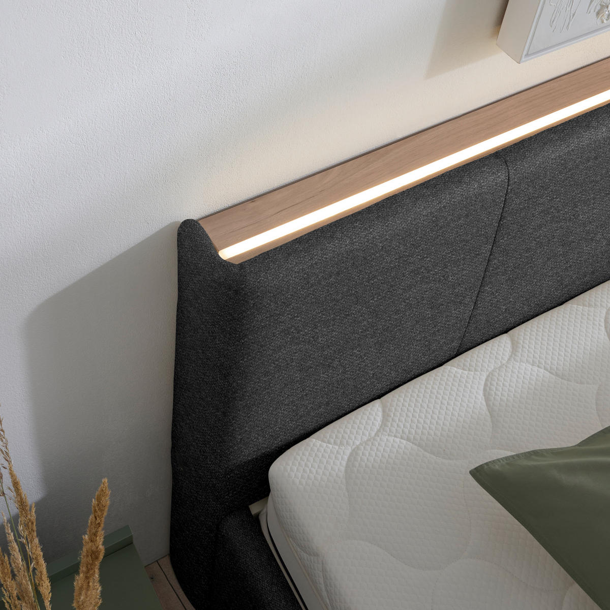 POLSTERBETT Beleuchtung, Lattenrost, Bettkasten Anthrazit 200/200 cm  - Birkefarben/Anthrazit, Design, Holz/Holzwerkstoff (200/200cm) - Lomoco
