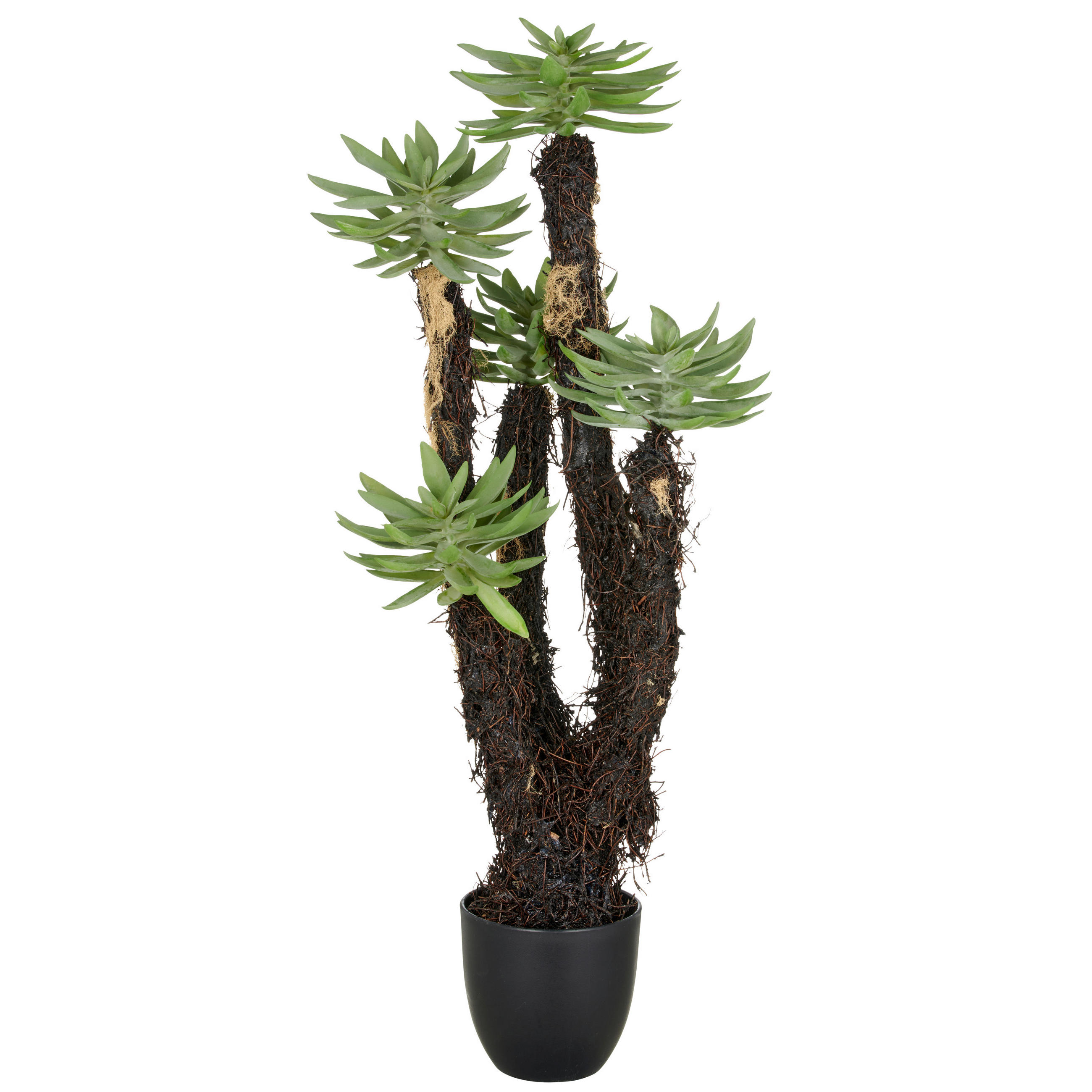 KUNSTPFLANZE 80 cm  - Schwarz/Grün, Basics, Kunststoff (80cm) - P & B